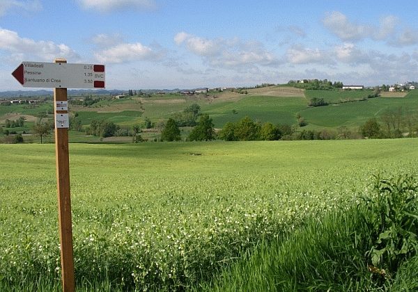 Alla scoperta dei luoghi del tartufo con “Camminare il Monferrato” Alla scoperta dei luoghi del tartufo con “Camminare il Monferrato”