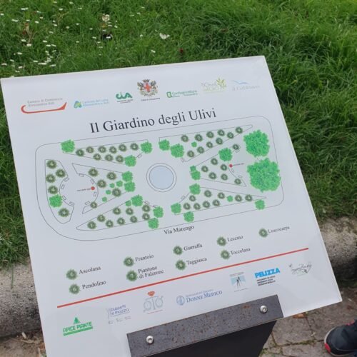 Piazza Genova: una mappa per conoscere gli ulivi e per diventare difensori dell’ambiente