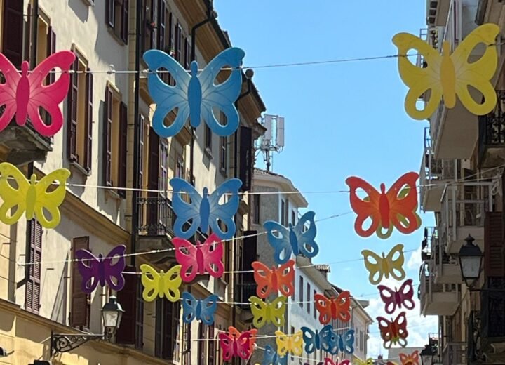 Sabato un arcobaleno di 500 farfalle colorate in centro ad Alessandria