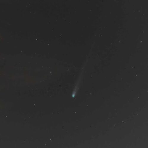 Un altro meraviglioso scatto della cometa sui cieli alessandrini Un altro meraviglioso scatto della cometa sui cieli alessandrini