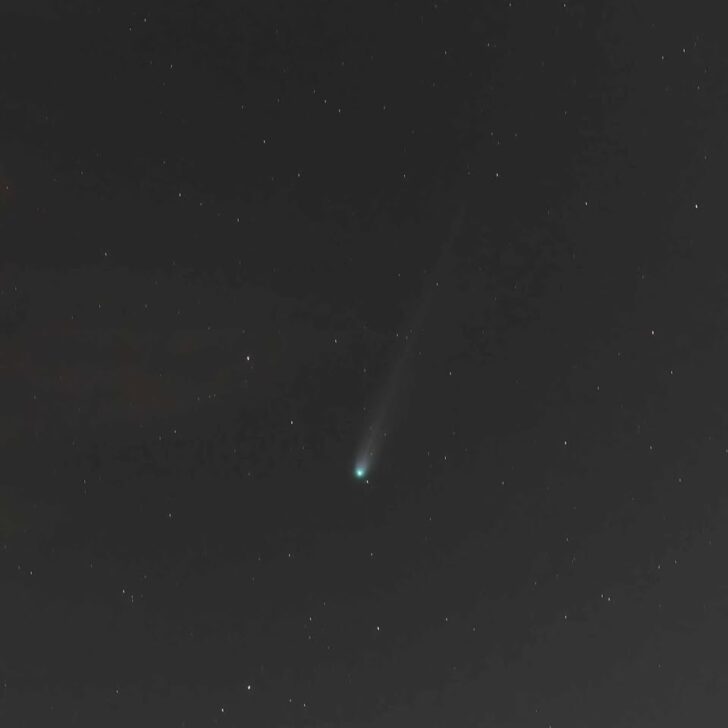 Un altro meraviglioso scatto della cometa sui cieli alessandrini Un altro meraviglioso scatto della cometa sui cieli alessandrini