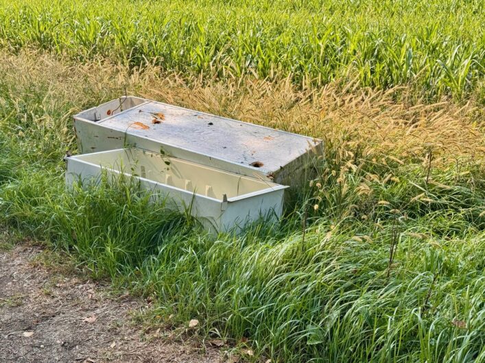 Discarica abusiva in via Vecchia Bagliani: presto la rimozione. Assessore Coloris: “La Polfer vigilerà” Discarica abusiva in via Vecchia Bagliani: presto la rimozione. Assessore Coloris: “La Polfer vigilerà”