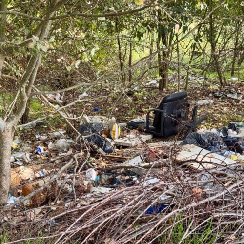 Discarica abusiva in via Vecchia Bagliani: presto la rimozione. Assessore Coloris: “La Polfer vigilerà” Discarica abusiva in via Vecchia Bagliani: presto la rimozione. Assessore Coloris: “La Polfer vigilerà”