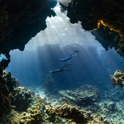 Pavia punta a diventare polo nazionale per la ricerca subacquea con il progetto Blue Deep-Tech Pavia punta a diventare polo nazionale per la ricerca subacquea con il progetto Blue Deep-Tech