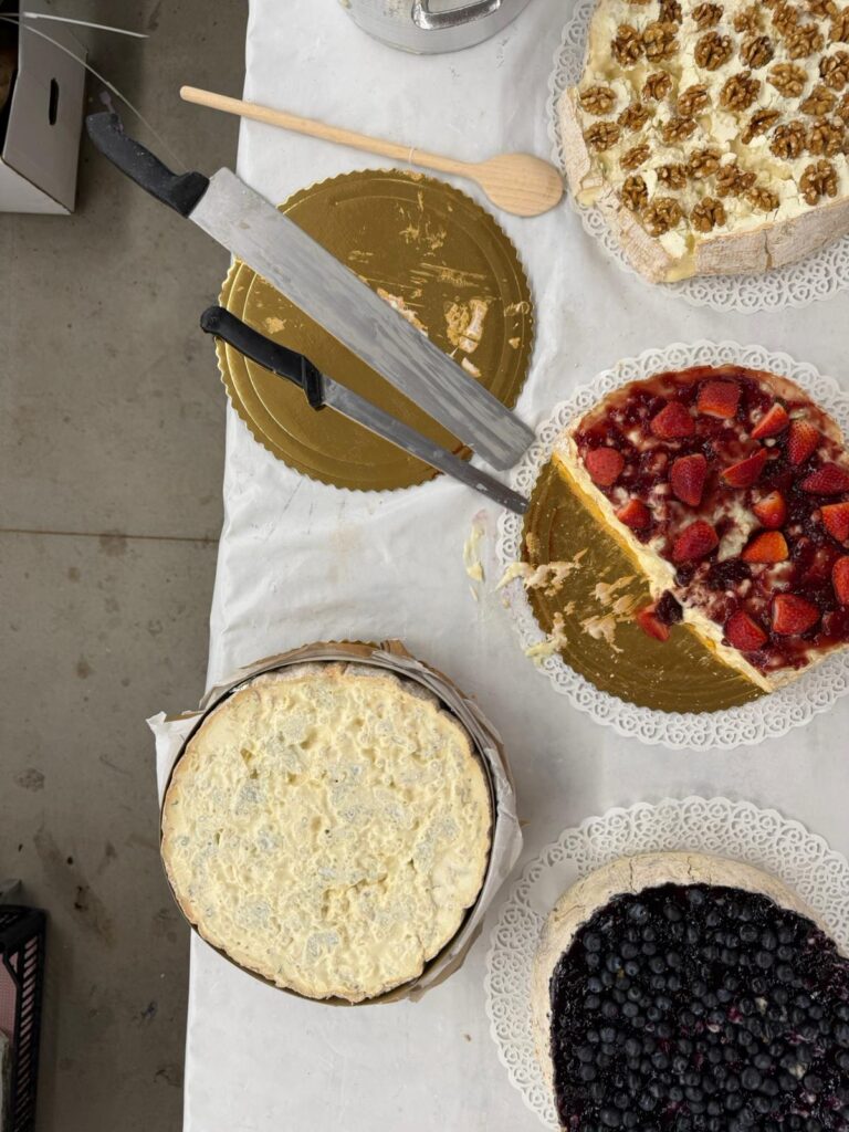 Dolciterre Novi 2025