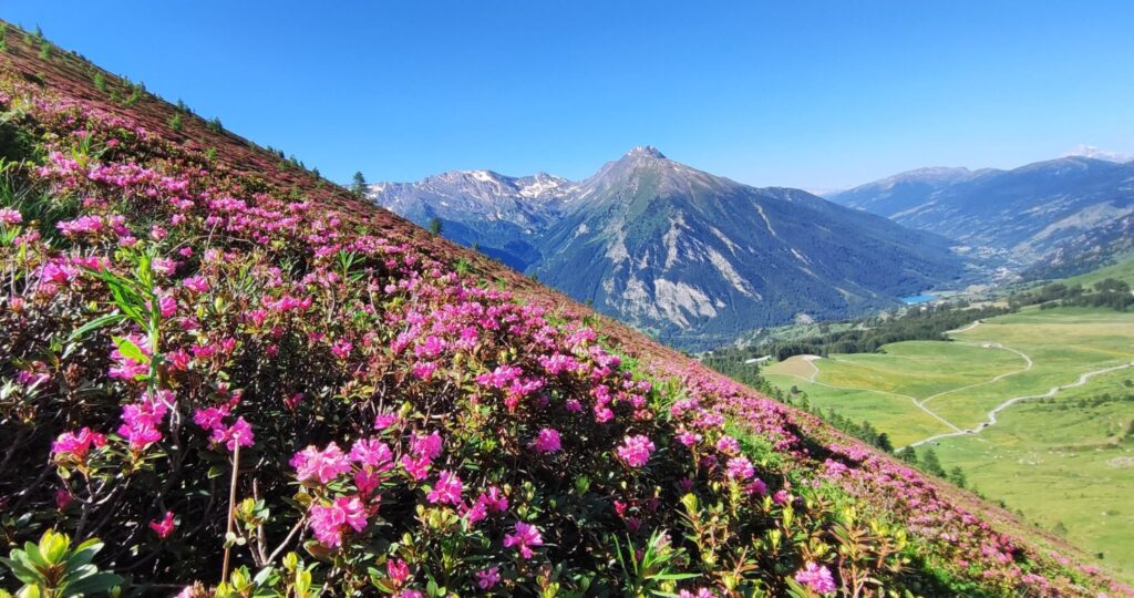 strade dei forti Piemonte