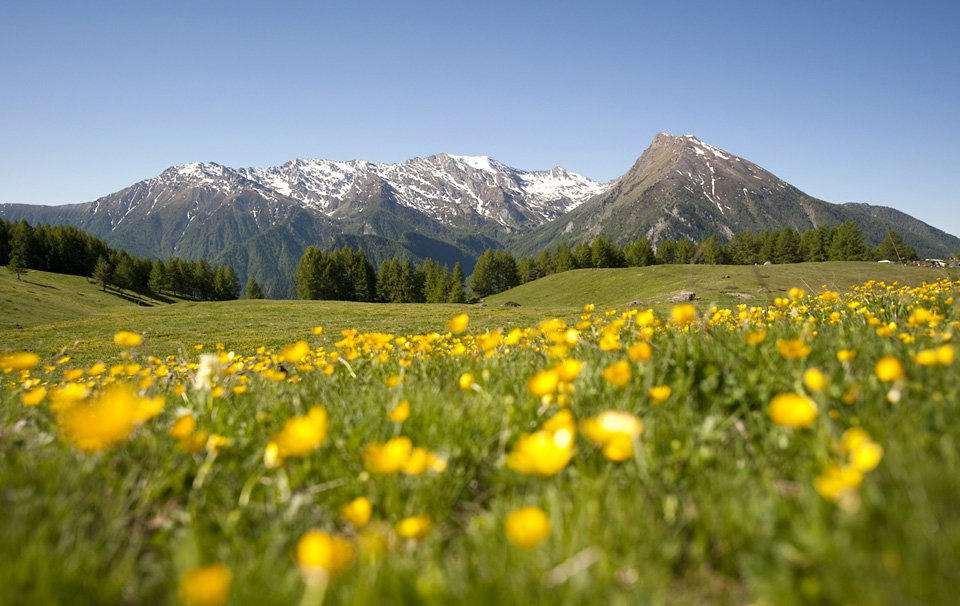 strade dei forti Piemonte