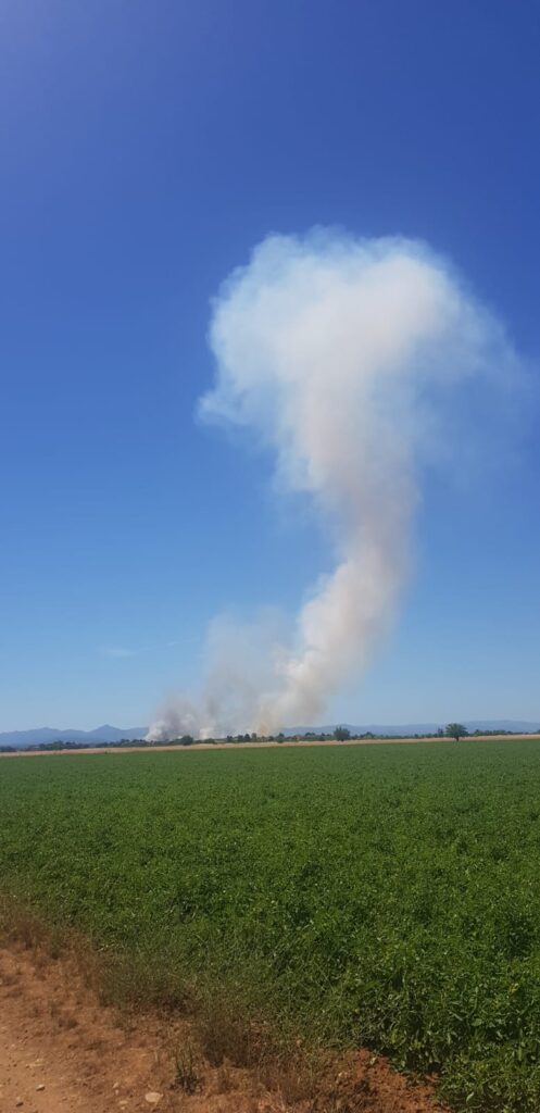 incendio sterpaglie pozzolo formigaro