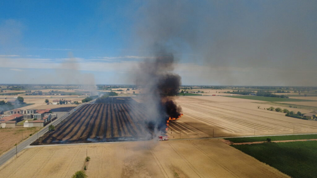 Incendio sterpaglie San Giuliano