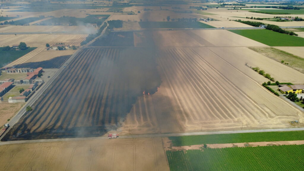 Incendio sterpaglie San Giuliano