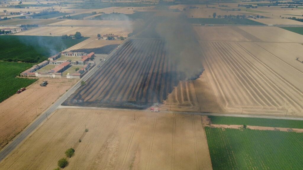 Incendio sterpaglie San Giuliano