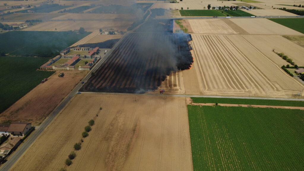 Incendio sterpaglie San Giuliano