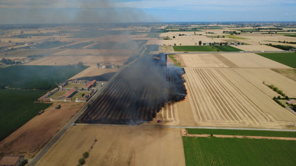Incendio sterpaglie San Giuliano