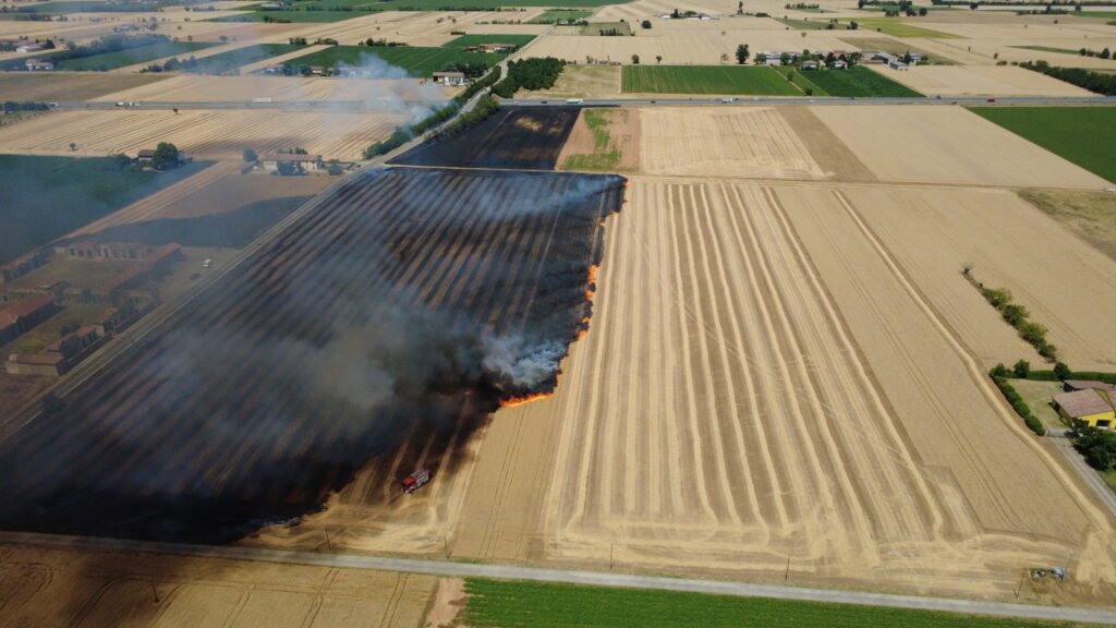 Incendio sterpaglie San Giuliano
