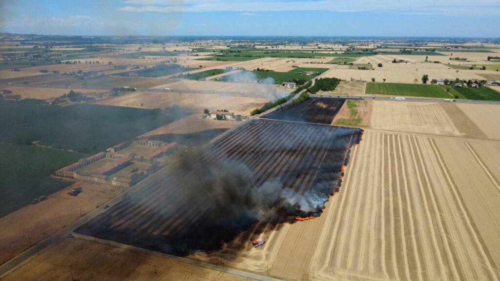 Incendio sterpaglie San Giuliano