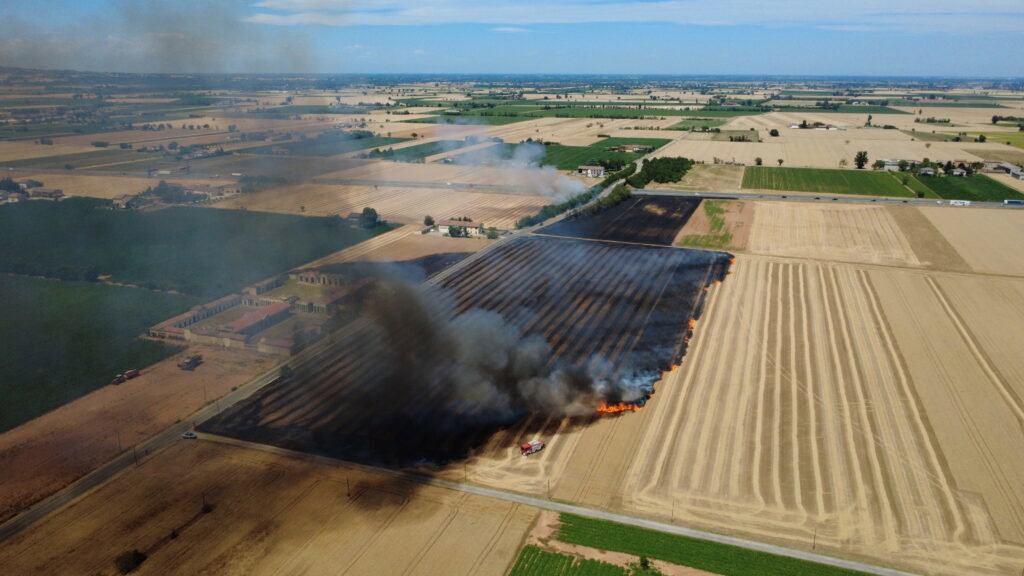 Incendio sterpaglie San Giuliano
