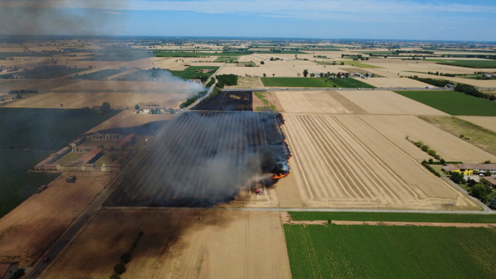 Incendio sterpaglie San Giuliano