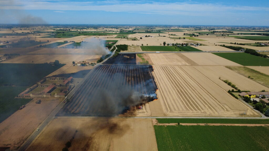 Incendio sterpaglie San Giuliano