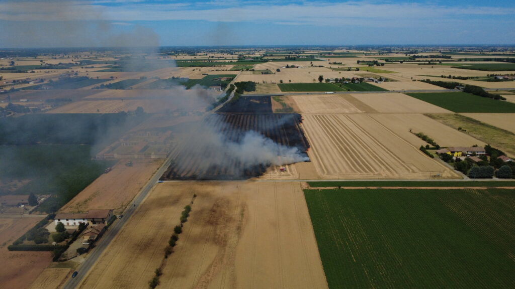 Incendio sterpaglie San Giuliano