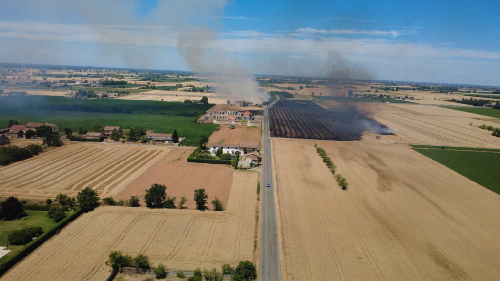 Incendio sterpaglie San Giuliano