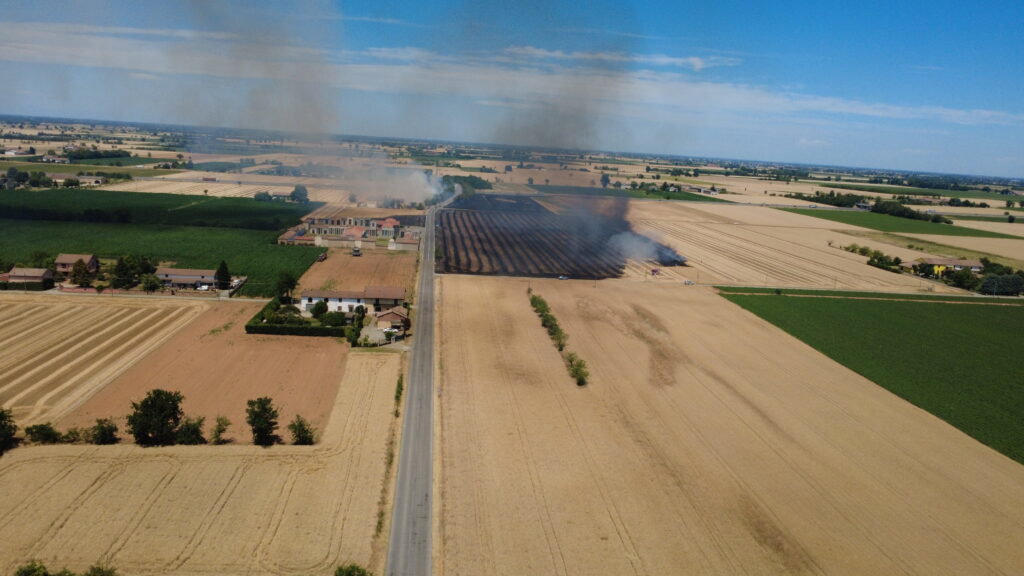 Incendio sterpaglie San Giuliano