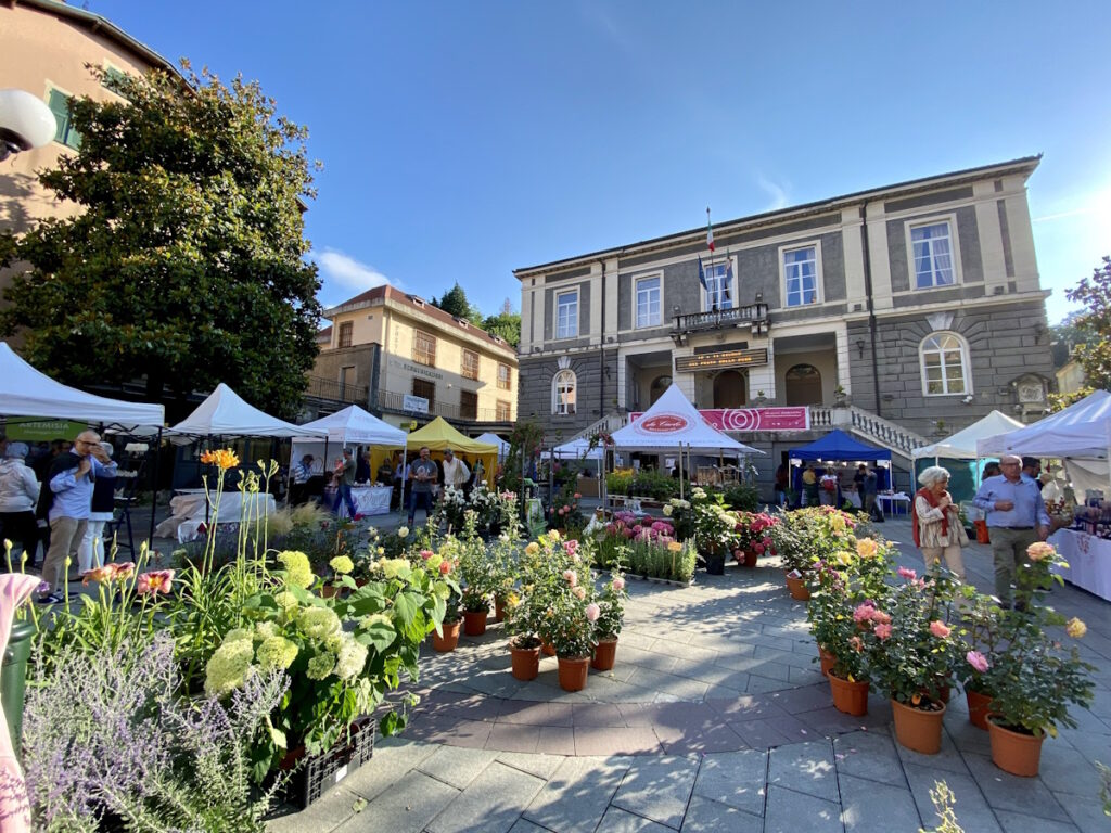 Festa delle Rose a Busalla