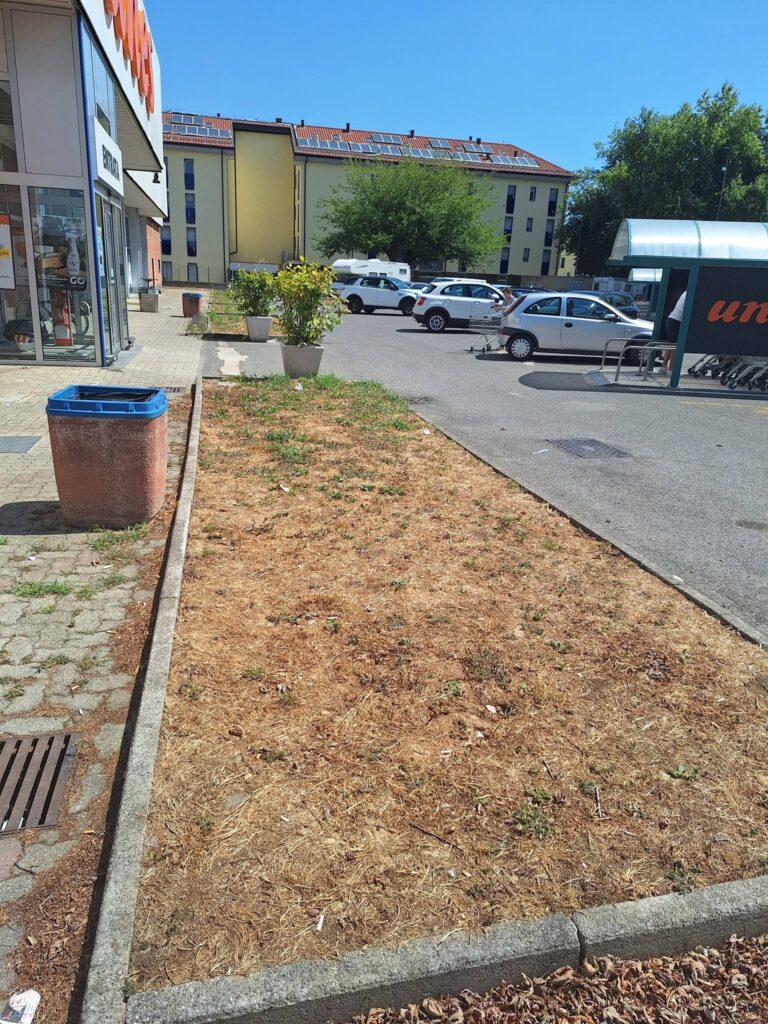 Alberi tagliati piazzale Unes