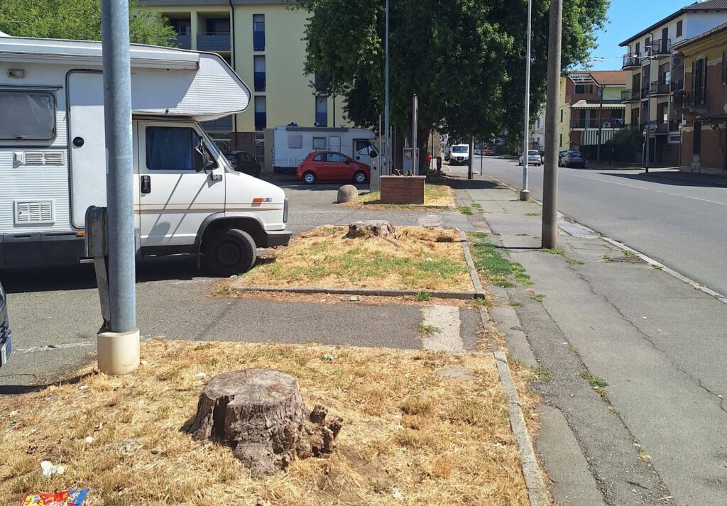 Alberi tagliati piazzale Unes