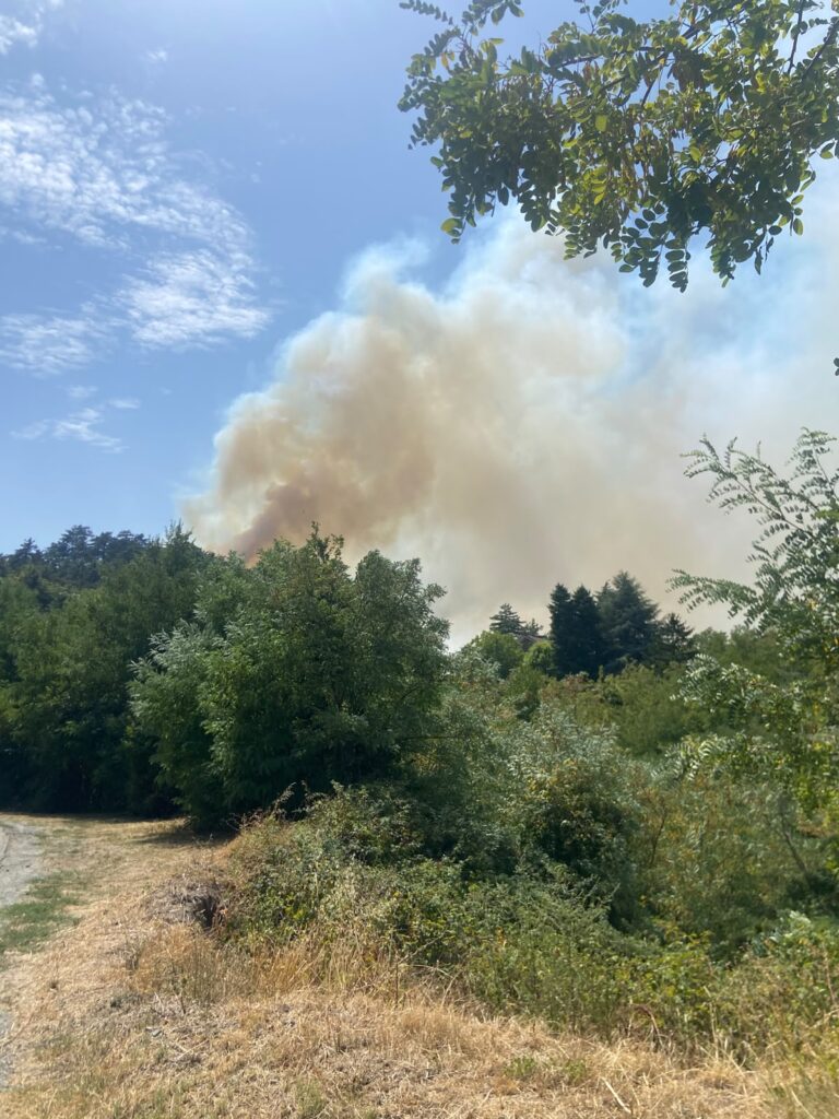 Incendio Mornese martedì 4 agosto 2026