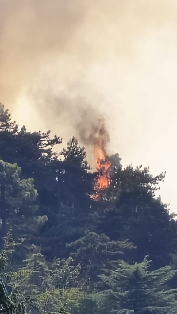 Incendio Mornese martedì 4 agosto 2026
