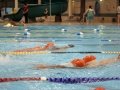 Salvamento: Swimming Club Alessandria terzo ai regionali