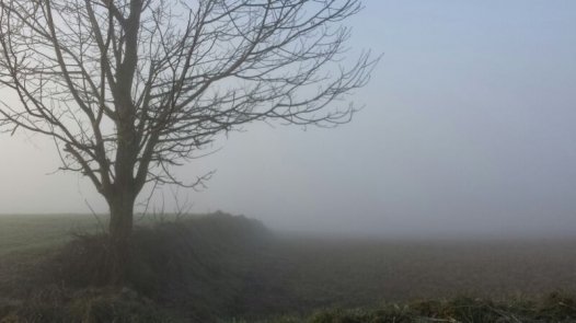 Lo spettacolo della nebbia [FOTO]