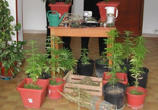 Arrestato 27enne. nella sua abitazione 150 grammi di marijuana e diverse piante