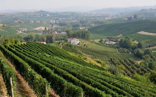 25 percorsi sul sito ‘Piemonte Ciclabile’ per scoprire le bellezze del territorio in sella alle due ruote