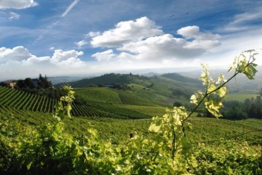 Il turismo punto strategico per il Piemonte: ‘crea valore e occupazione’