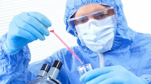 Ebola: in Piemonte attivata rete sorveglianza