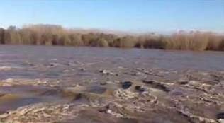Il livello del fiume Po a Valenza [VIDEO]