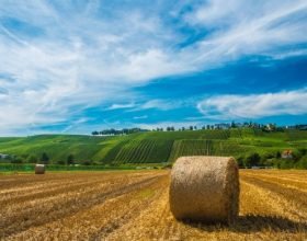 Paesaggi del Monferrato: oggi colline domani pianura? Il territorio chiede attenzione per tutelare il patrimonio dell’umanità