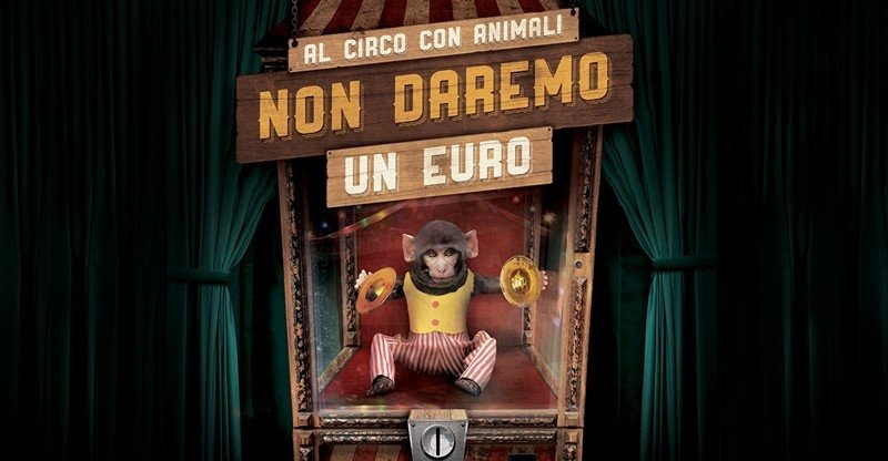 “Al circo con animali non daremo un euro”