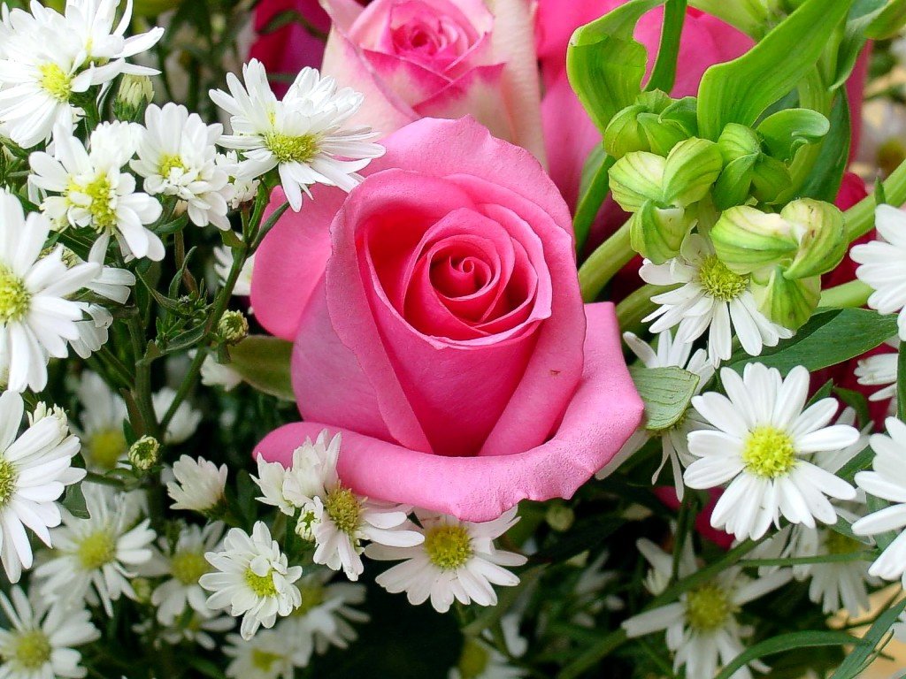 “Dillo con un fiore”,  il 24 aprile torna Floreale