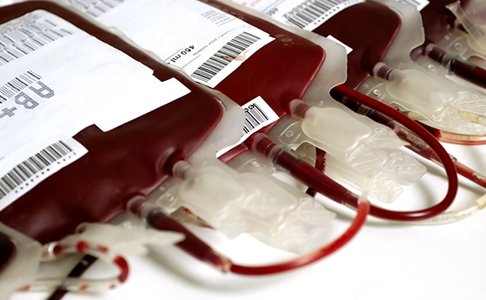 Il bisogno di sangue non va mai in ferie: l’Azienda Ospedaliera di Alessandria lancia un appello ai donatori