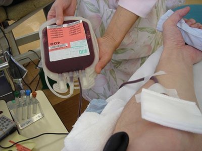 Caldo e zanzara tigre le cause del calo di donazioni di sangue in provincia