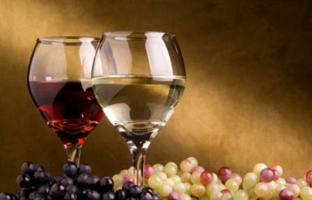 La vendemmia “perfetta” regala alla provincia vini strutturati, profumati e corposi