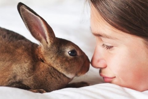 Conigli: il 5-6 dicembre si può firmare la petizione per riconoscerli come animali familiari