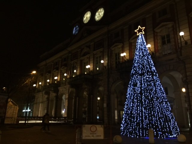 Via “l’albero della discordia”, davanti al Palazzo Comunale torna la pianta artificiale dello scorso anno [FOTO]