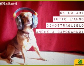 No ai botti di Capodanno, Legambiente: “Le ordinanze siano fatte rispettare”