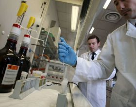 Incastrato dai Ris di Parma un 48enne di Torino: tentò di rubare quasi 4 tonnellate di rame a Quattordio