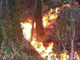 Incendi boschivi: stato di massima pericolosità in tutto il Piemonte