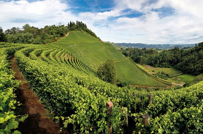Dalle Langhe al Monferrato, ecco gli itinerari tra i paesaggi mozzafiato delle strade del vino