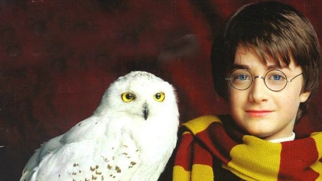 Al Castello di Belgioioso due giorni dedicati al magico mondo di Harry Potter
